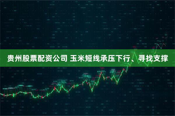 贵州股票配资公司 玉米短线承压下行、寻找支撑