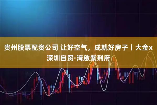 贵州股票配资公司 让好空气，成就好房子丨大金x深圳自贸·湾啟紫荆府