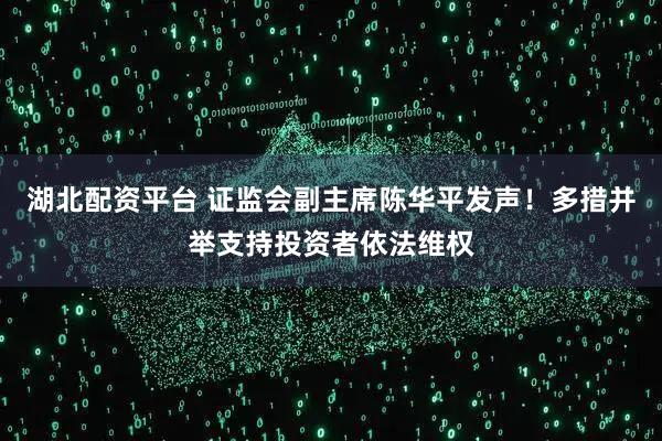 湖北配资平台 证监会副主席陈华平发声！多措并举支持投资者依法维权